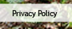 Privacy Policy