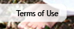 Terms of Use